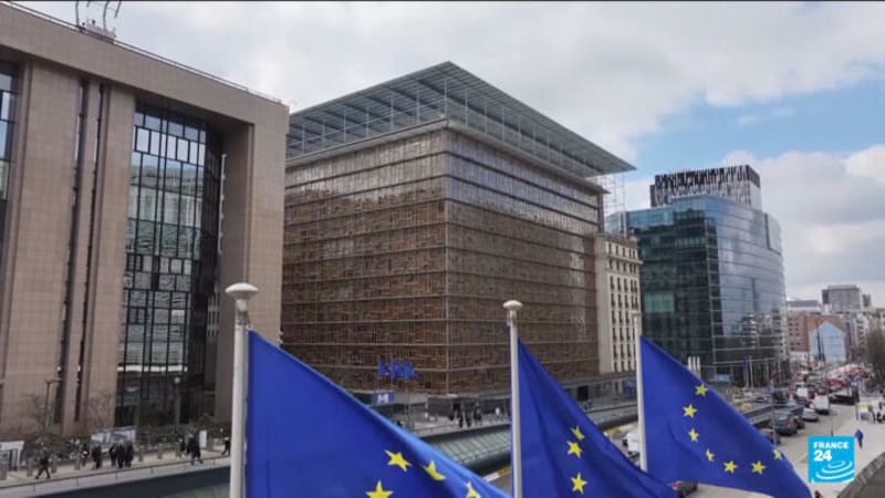 Netherlands Shares 200,000 Free Tulips on National Day - Image 3