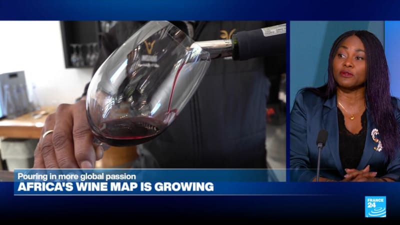 Africa's Wine Market Blooms as Young Middle Class Grows - Image 2
