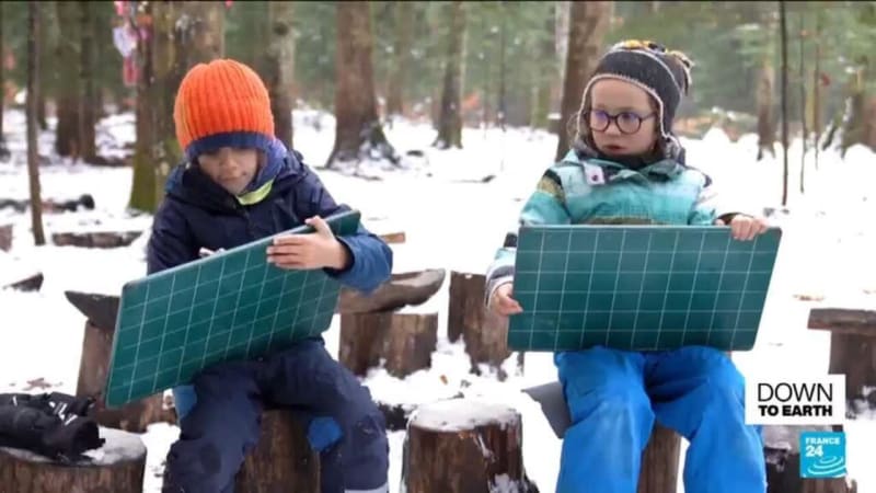 Forest Schools Give Kids More Outdoor Time Than Inmates