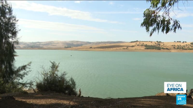 Congolese Fan Becomes Beloved AFCON Symbol with Heartfelt Tribute to Nation's History - Image 3