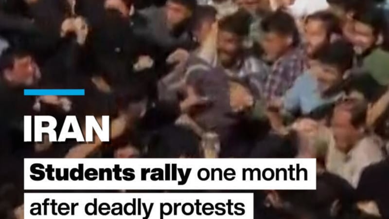 Footballer Saves Seagull With CPR During Istanbul Match - Image 5