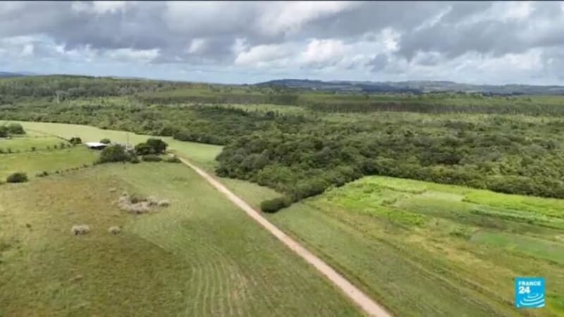 Florida Cubans Keep Sending Aid Despite Shipping Hurdles - Image 4