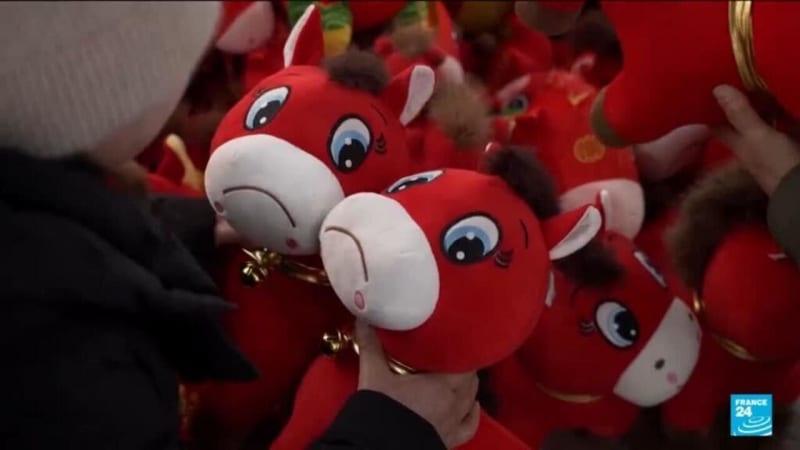 China's Factory Error Creates Viral 'Crying Horse' Toy