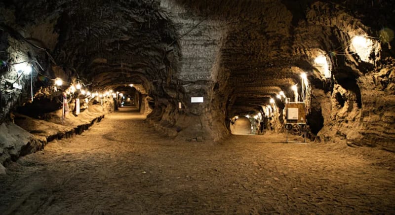 Scientists Revive 26 New Species from 40,000-Year Ice - Image 4