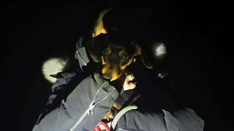 Volunteers Find 2 Lost Dogs in Miracle Mountain Rescues - Image 5