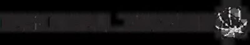 Dwyane Wade: From Bronze Regret to Olympic Redemption - Image 2