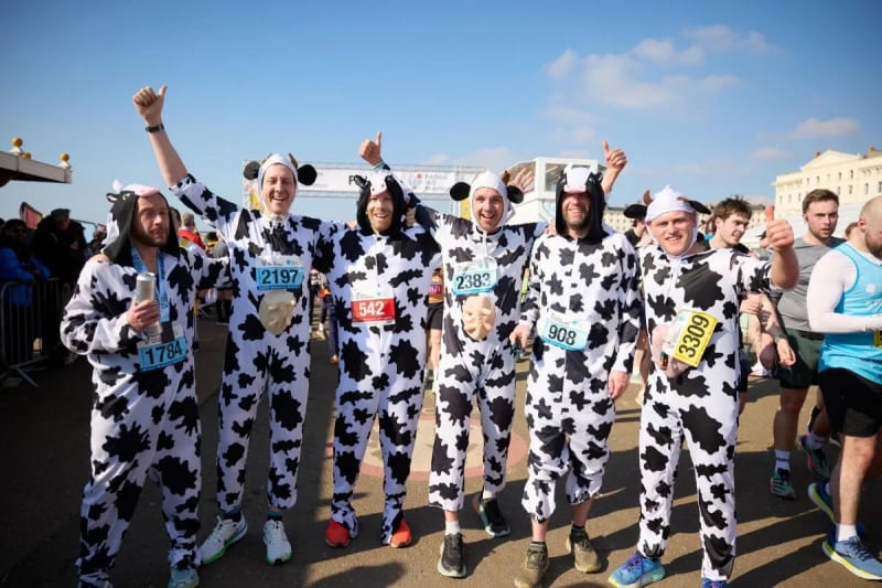 7 Doctors Chase World Record in Cow Costumes at Half Marathon - Image 2