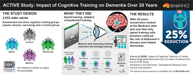 Brain Training Cuts Alzheimer's Risk by 25% in 20-Year Study - Image 3