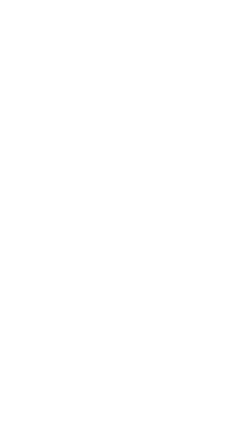 Saudi Arabia First Arab Nation to Join Global AI Group - Image 5