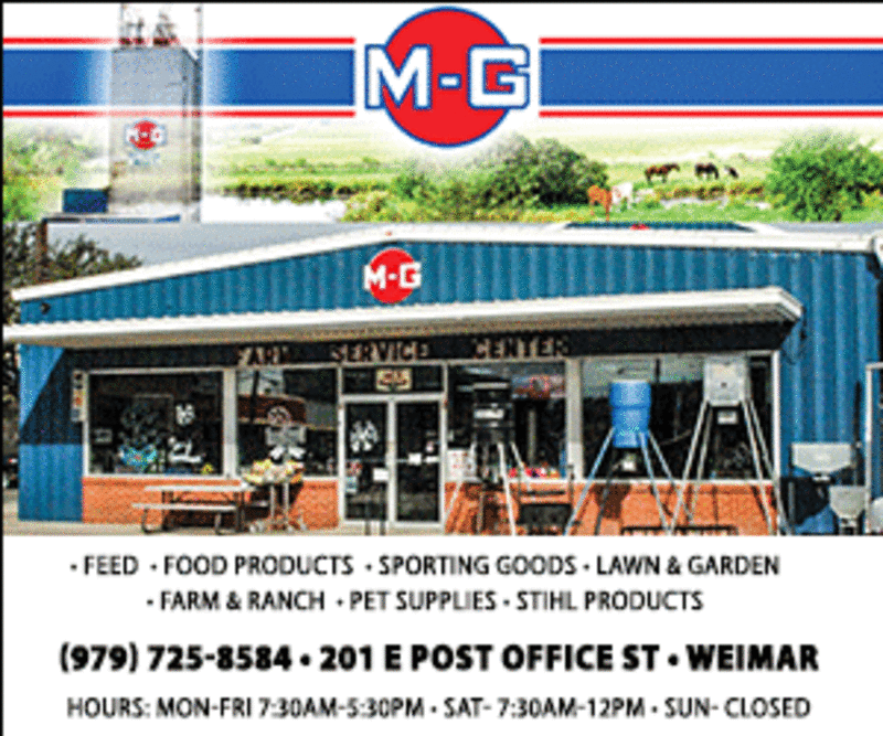 Columbus Lady Cardinals Win District Basketball Title - Image 3