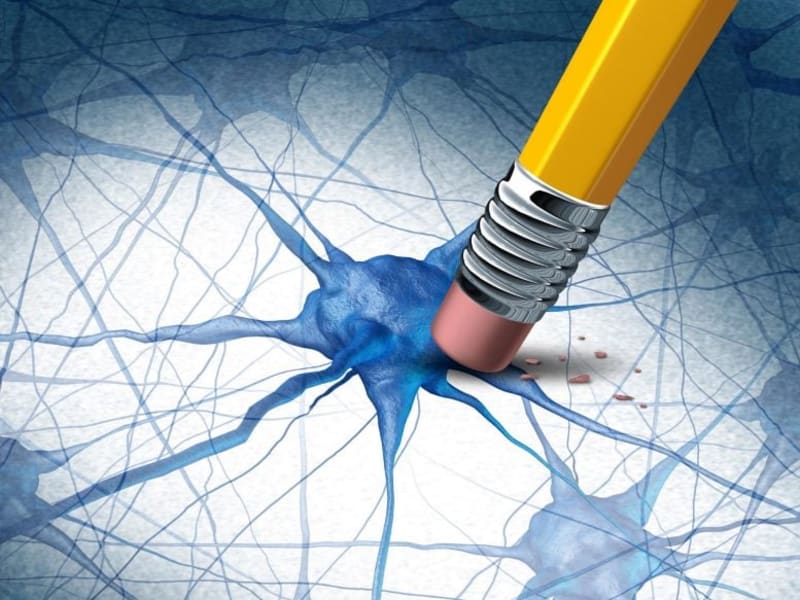 Natural Molecule Restores Memory in Alzheimer's Studies - Image 2