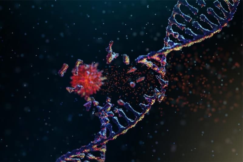 Scientists Discover How to Switch Off Cancer Genes - Image 2