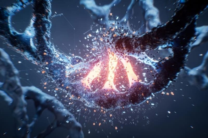 Texas Scientists Use Caffeine to Control Cancer Treatment - Image 2