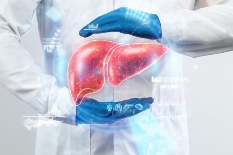 Scientists Solve 20-Year Mystery in Human Digestion - Image 2