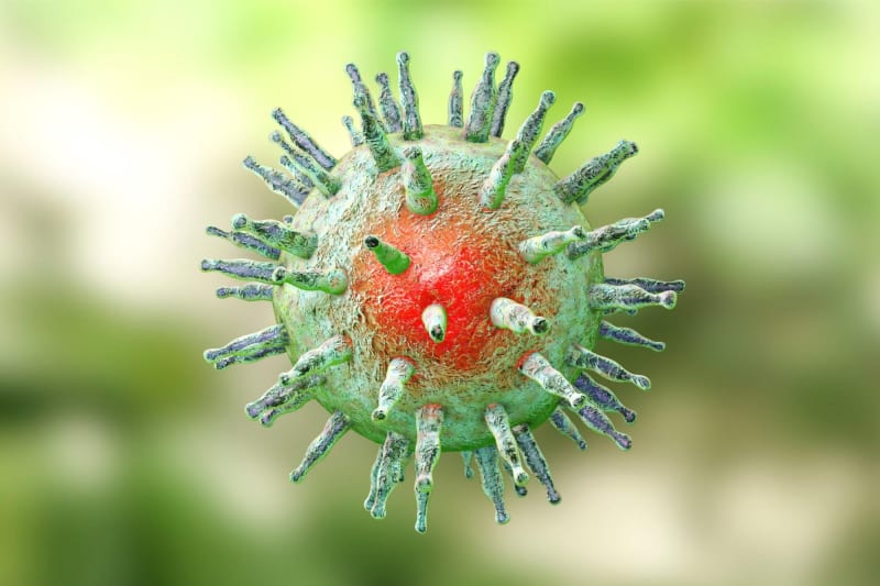 Scientists Block Virus That Infects 95% of People Worldwide