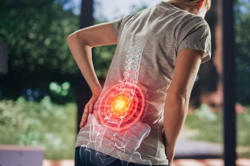 Osteoporosis Drug May Stop Chronic Back Pain at the Source - Image 2