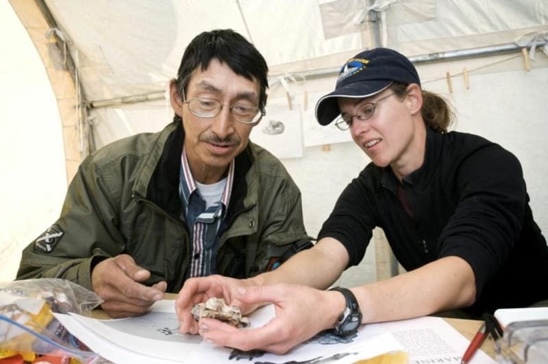 Scientists Find 23-Million-Year-Old Rhino in Arctic Canada - Image 5