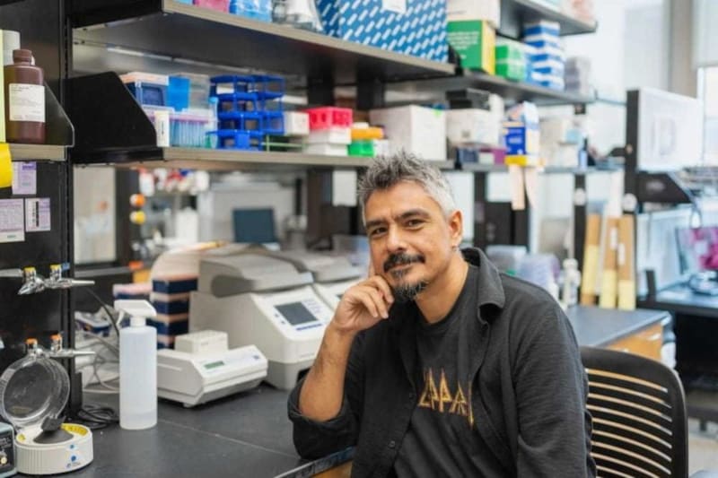 Scientists Find Brain's Hidden Waste Cleanup System - Image 4