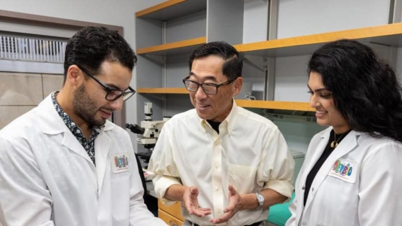 Stanford Cures Type 1 Diabetes in Mice Without Insulin - Image 3