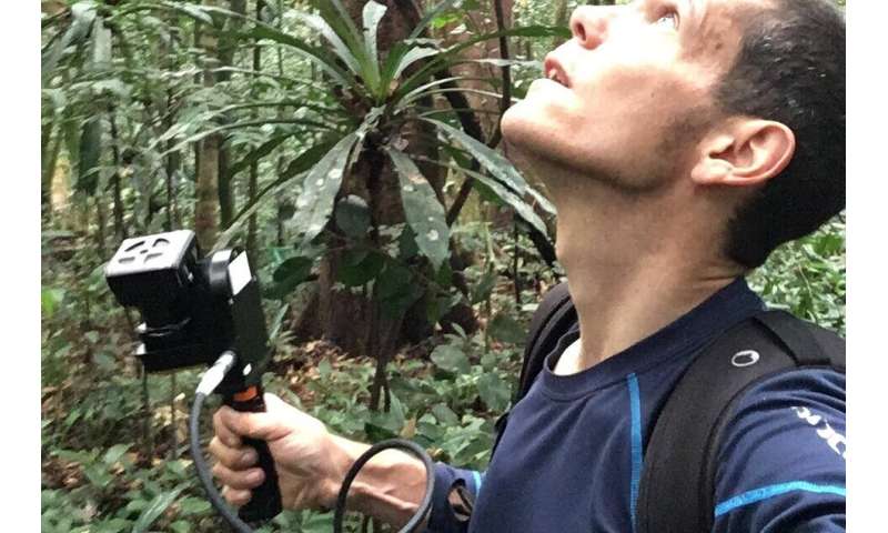 Lasers Map 200,000 Trees to Fight Climate Change - Image 5