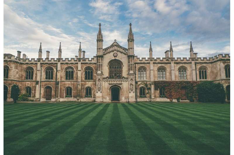 Rural Students Share How to Fix South Africa's Education Gap - Image 3