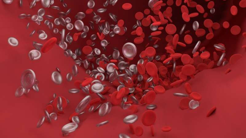 Scientists Solve Mystery of Rare Vaccine Blood Clots - Image 3