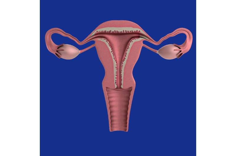 Menstrual Blood Test Could Replace Cervical Cancer Screening - Image 3