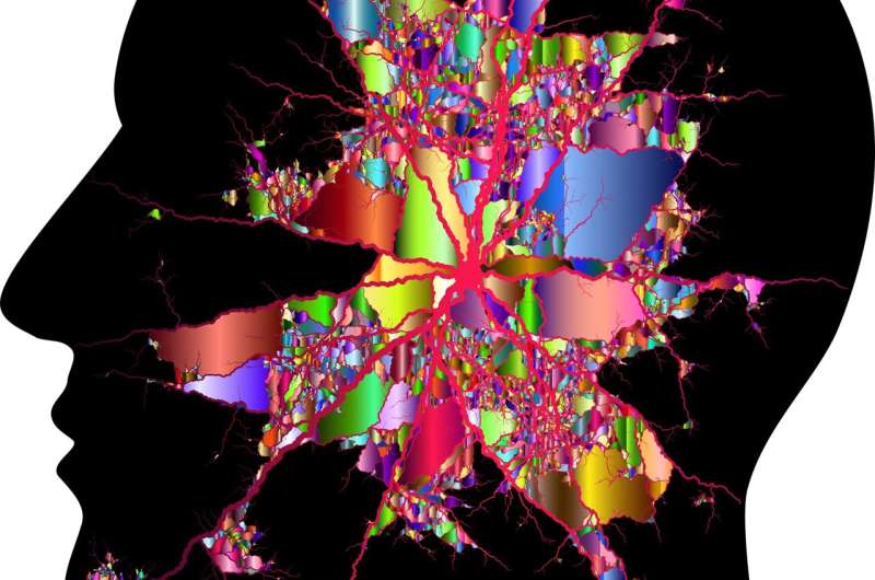 Australia Approves World's First MDMA Therapy Guidelines - Image 3