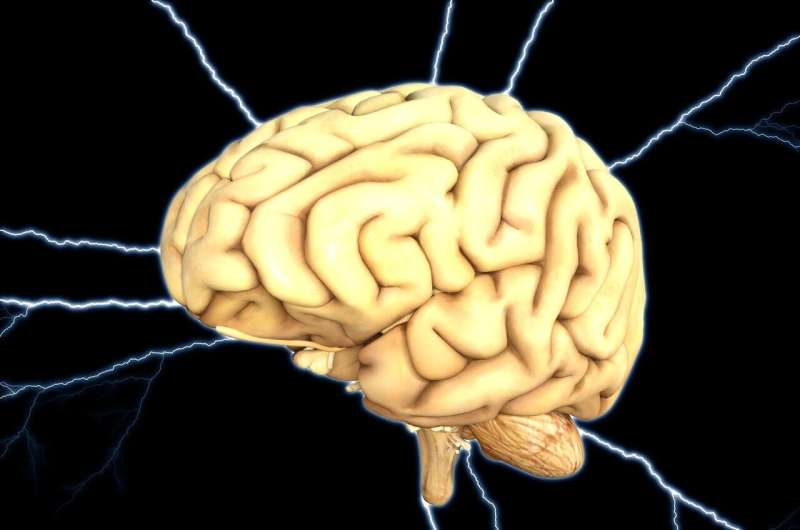 Low-Dose THC Combo Boosts Memory in Alzheimer's Mice - Image 3