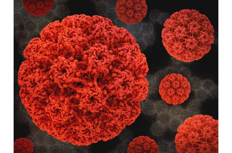 HPV Vaccine Cuts Cervical Cancer Risk 79% After 18 Years - Image 3