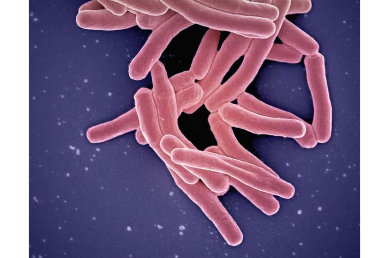 Scientists Unlock Mystery Behind TB, Opening Door to Revolutionary Treatment - Image 3