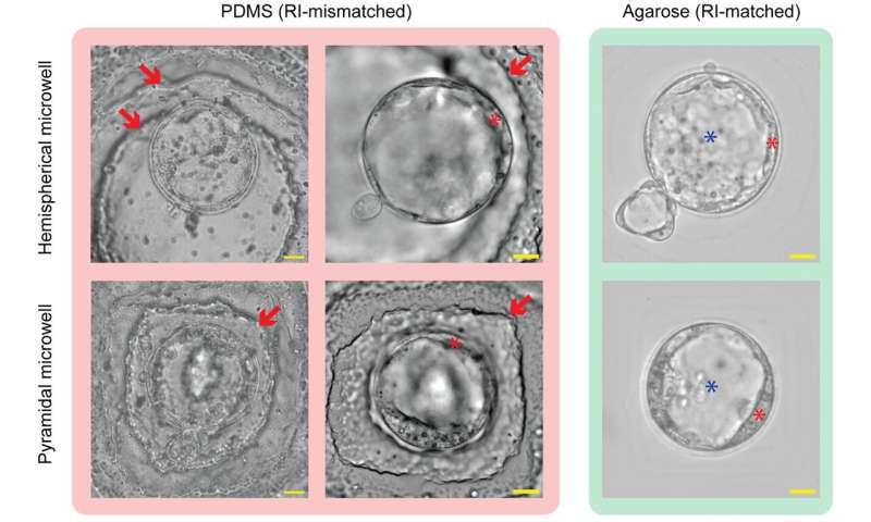New IVF Dish Helps Doctors See Embryos 95% Clearer - Image 3
