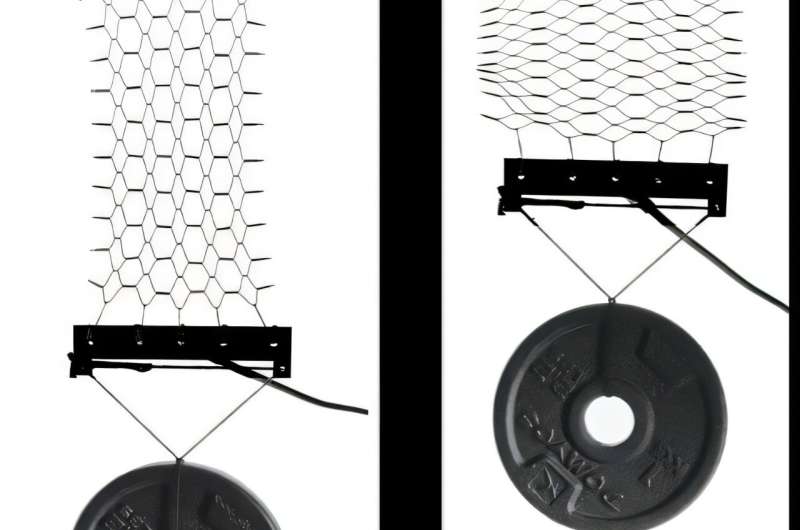 Smart Fabric Lifts 400x Its Weight, Makes Robot Clothes Real - Image 4