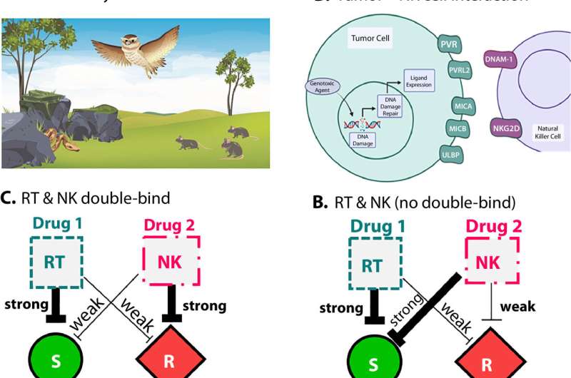 Scientists Trap Cancer in Evolutionary Double-Bind - Image 3
