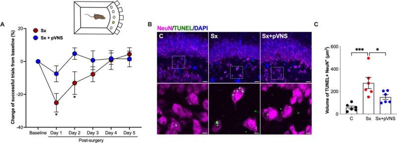 Duke Finds Way to Prevent Confusion After Surgery - Image 3