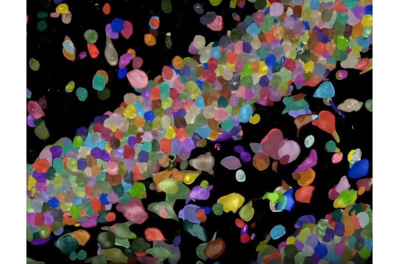 Scientists Create 'Tape Recorder' Inside Living Cells - Image 2