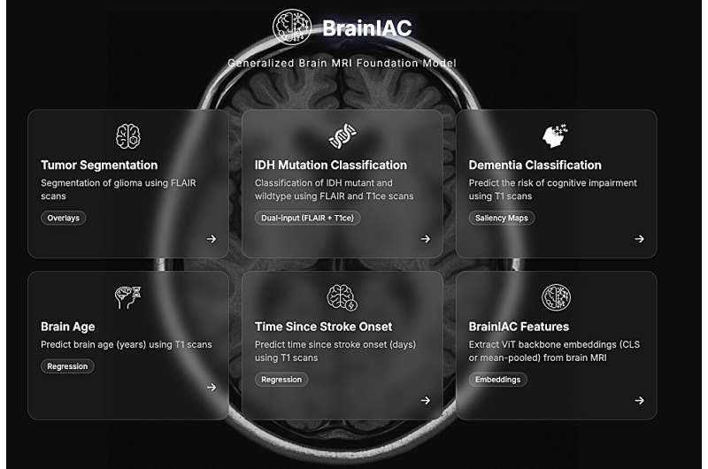 New AI Predicts Brain Disorders From Standard MRI Scans - Image 2