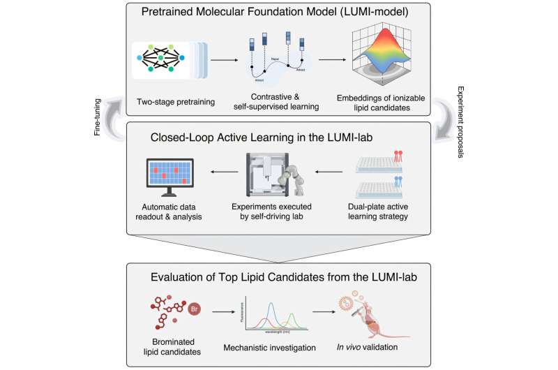 AI Lab Discovers Breakthrough mRNA Delivery Method - Image 2