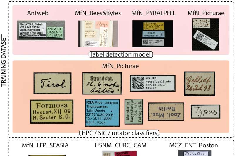 AI Reads 90% of Museum Bug Labels in Seconds - Image 3