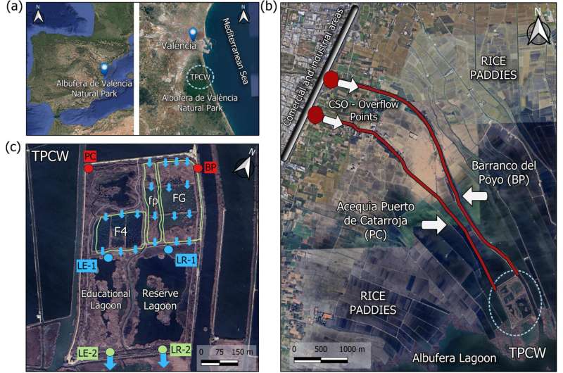 Artificial Wetlands Cut Water Pollution by 80 Percent - Image 3