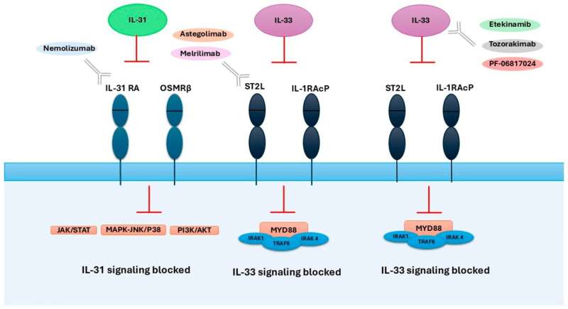 Scientists Crack Why Eczema Itches, New Drug Brings Relief - Image 3