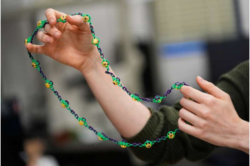 LSU Students Create Plantable Mardi Gras Beads - Image 5