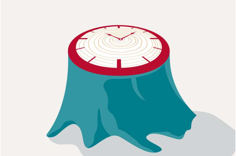 Blood Test Predicts Alzheimer's Onset Years in Advance - Image 3