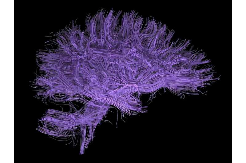 New Drug Combo Speeds Thinking in Schizophrenia Patients - Image 2