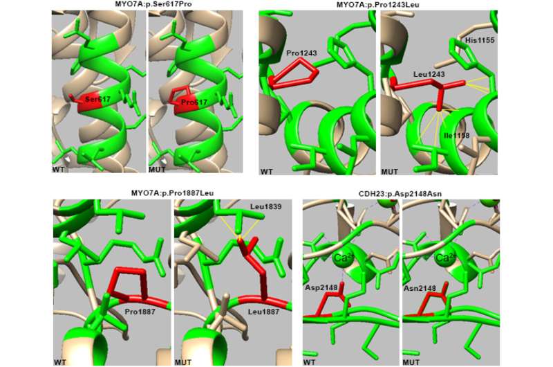 Major Breakthrough: Scientists Unlock Genetic Keys to Help Deaf Children Worldwide - Image 3
