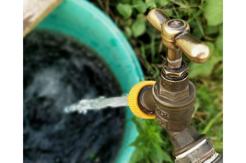 330 Cities Back Street Vendors to Build Greener Future - Image 3