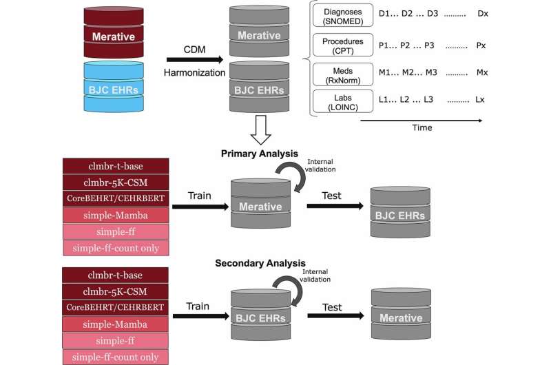 AI Predicts Spinal Cord Disease 30 Months Before Symptoms - Image 3