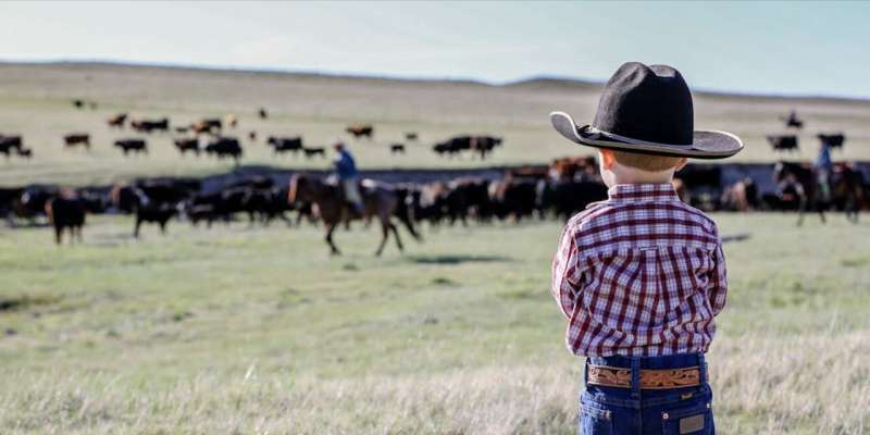 Colorado Ranchers Use Smart Collars to Feed Cows, Fight Fires - Image 3