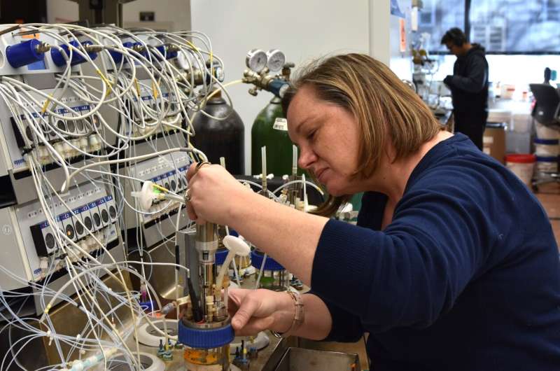 Illinois Scientists Turn Sugar Into Eco-Friendly Chemicals Worth $20 Billion - Image 3