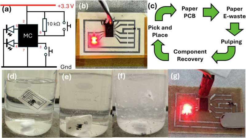 Scientists Create Circuit Boards That Break Down Like Leaves - Image 3